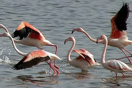 Residenza Bea * フルミニ・ディ・クアルトゥ