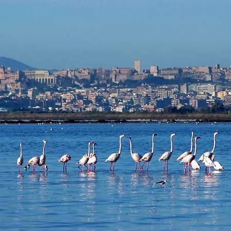Residenza Bea * Flumini di Quartu