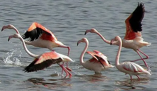 Residenza Bea * Flumini di Quartu